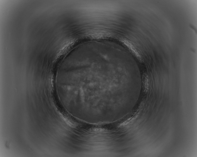 X0000091720590200709071438