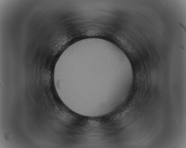 X0000091720592200709071438