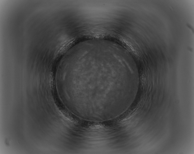 X0000091720594200709071438