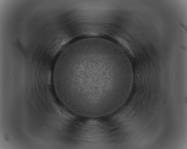 X0000091720596200709071438