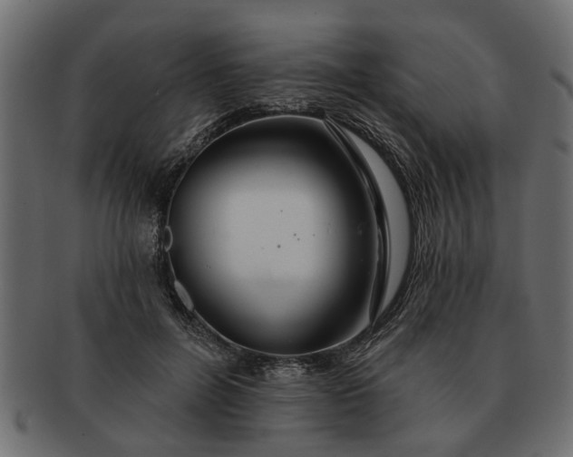 X0000091720600200709071438