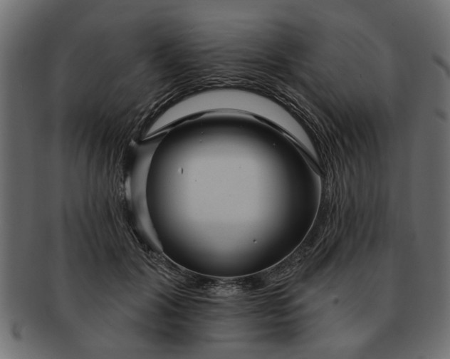 X0000091720604200709071437