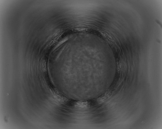 X0000091720606200709071437