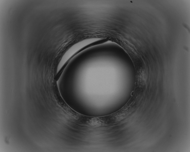 X0000091720608200709071437