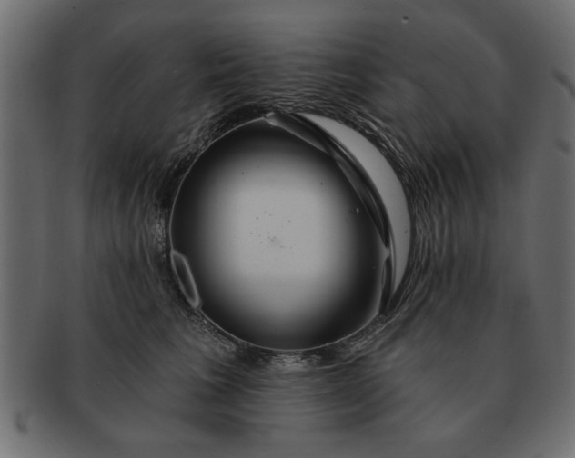 X0000091720613200709071437