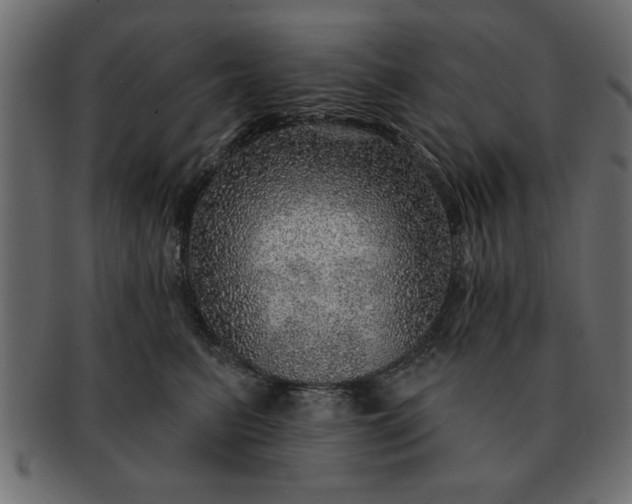 X0000091720615200709071437