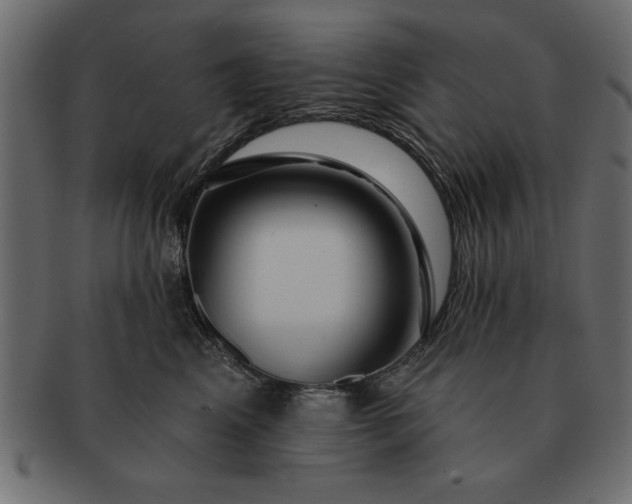 X0000091720617200709071437