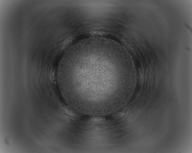 X0000091720619200709071437