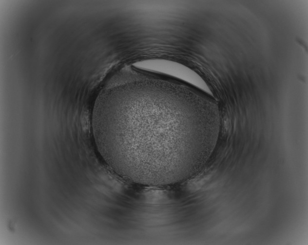 X0000091720620200709071437