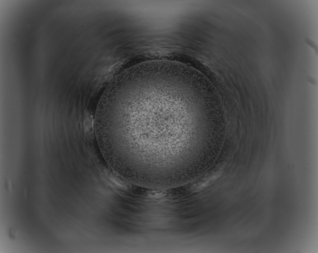 X0000091720624200709071437