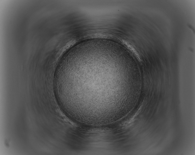 X0000091720625200709071437