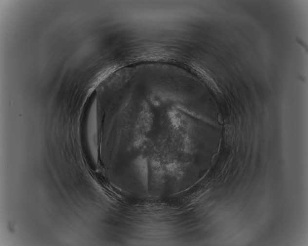 X0000091720626200709071437