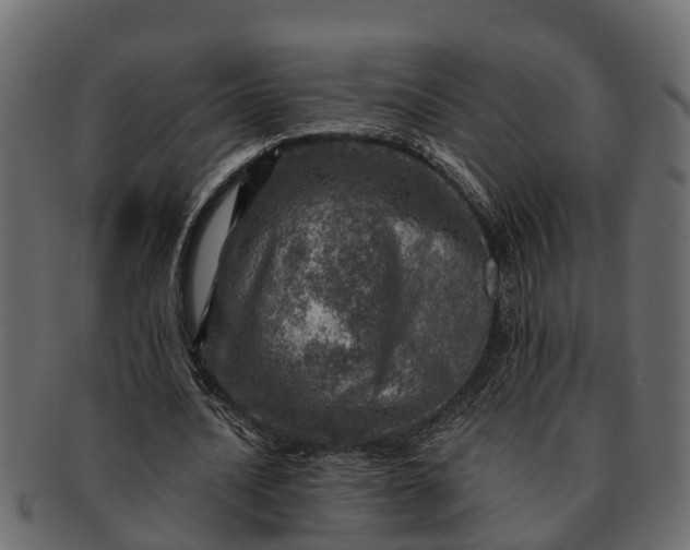 X0000091720628200709071437