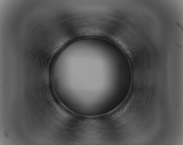 X0000091720629200709071437