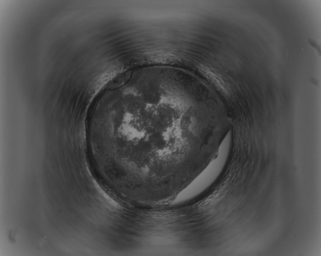 X0000091720630200709071437