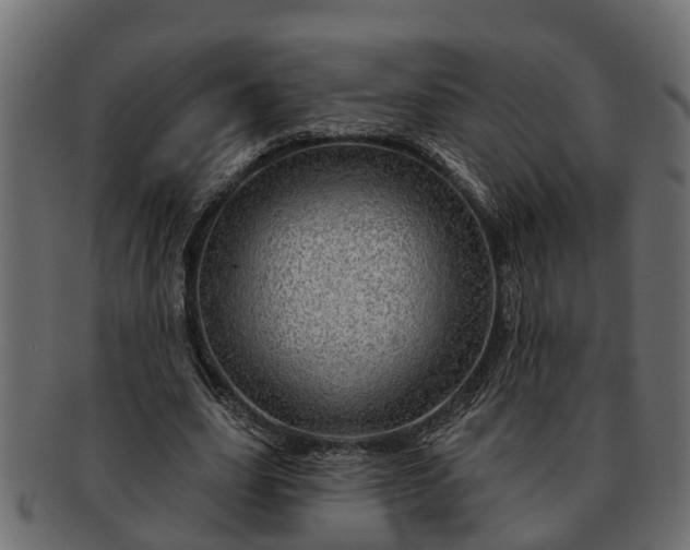 X0000091720631200709071437