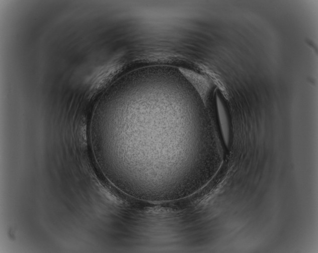 X0000091720633200709071437