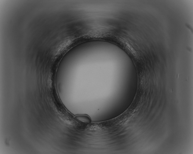 X0000091720635200709071437