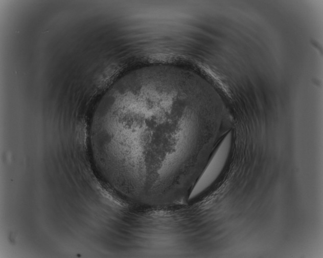 X0000091720637200709071437