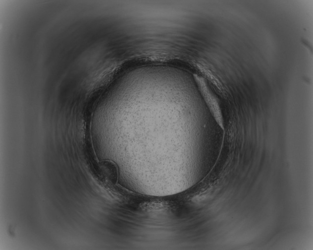 X0000091720639200709071437