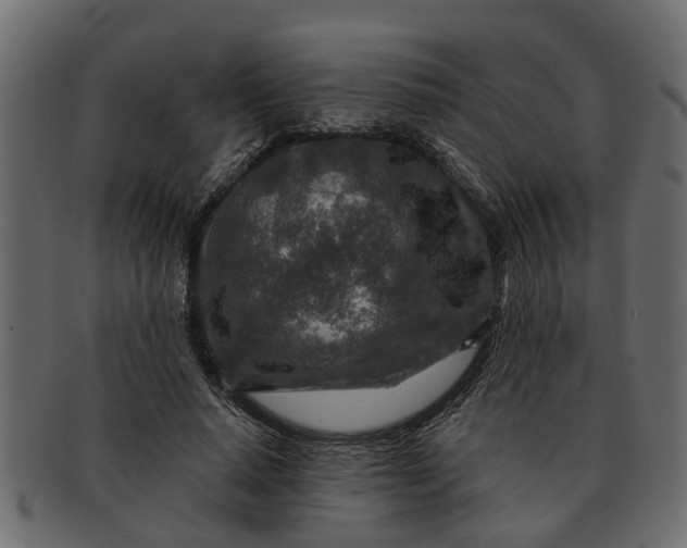 X0000091720640200709071437