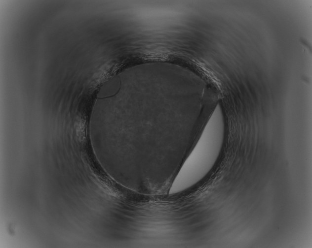 X0000091720641200709071437