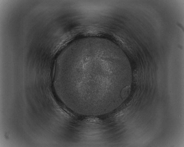 X0000091720642200709071437