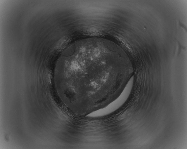 X0000091720643200709071437