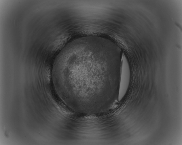 X0000091720644200709071437