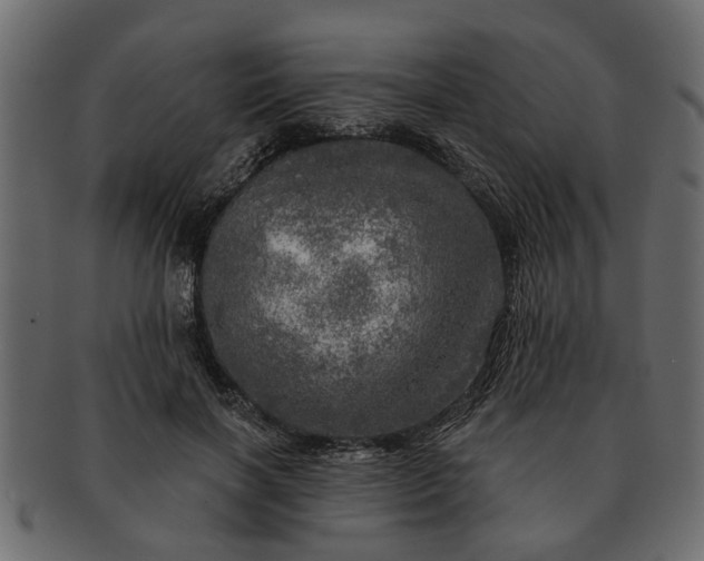 X0000091720646200709071437