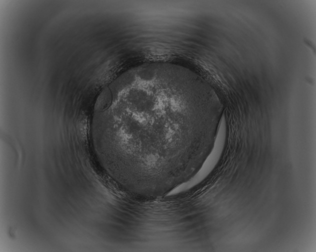 X0000091720647200709071437