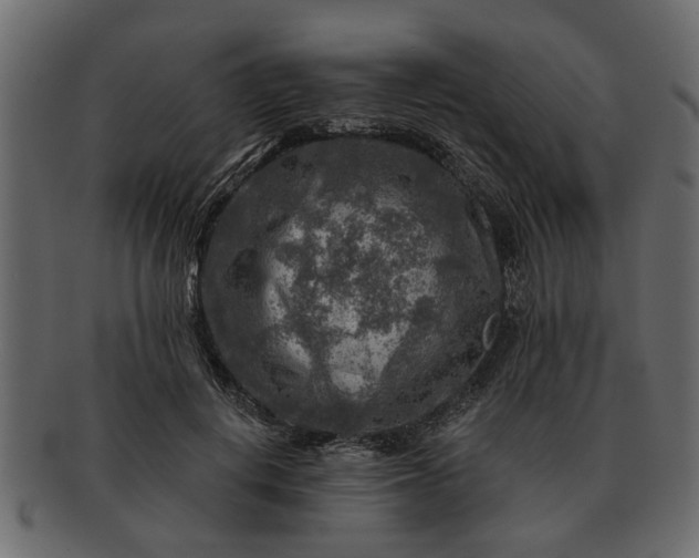 X0000091720648200709071437