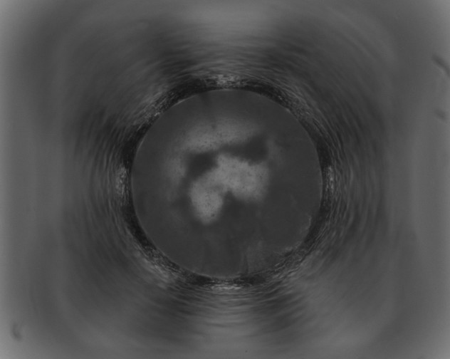 X0000091720650200709071437