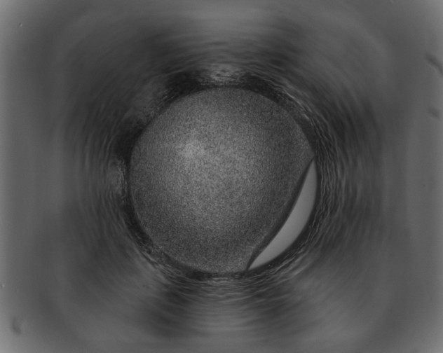 X0000091720651200709071437