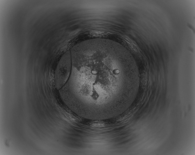 X0000091720653200709071437