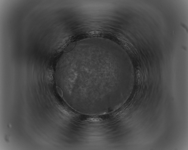 X0000091720654200709071437