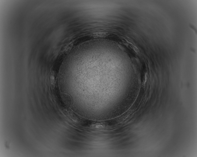 X0000091720655200709071437