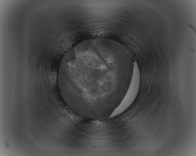 X0000091720660200709071437