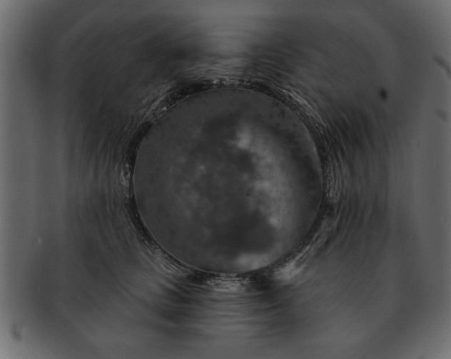 X0000091720661200709071437