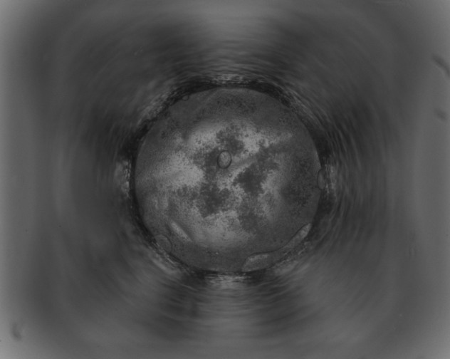 X0000091720664200709071437