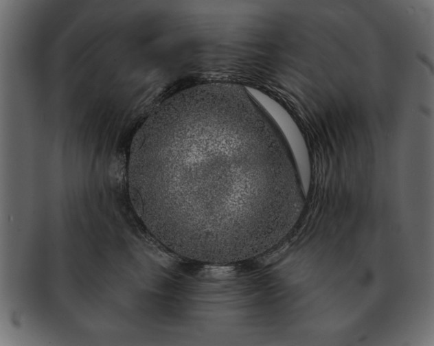 X0000091720665200709071437