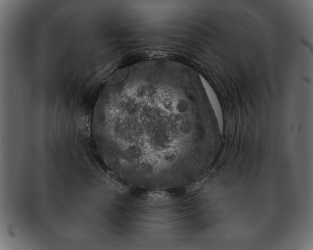 X0000091720666200709071437