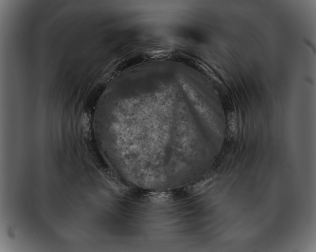 X0000091720667200709071437