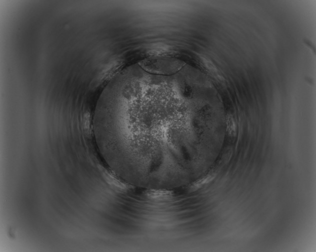 X0000091720670200709071437