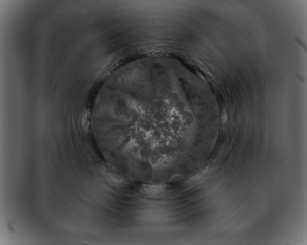 X0000091720671200709071437