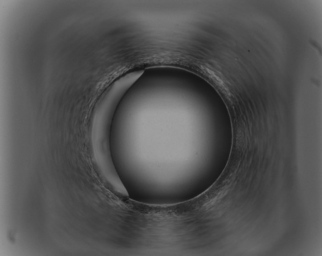 X0000091720673200709071437