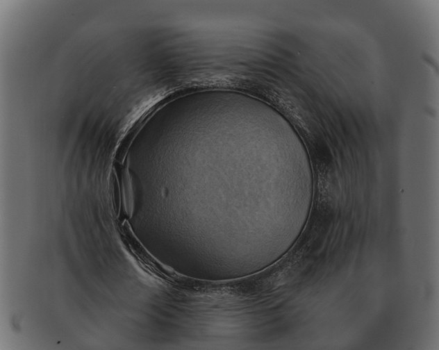 X0000091720674200709071437