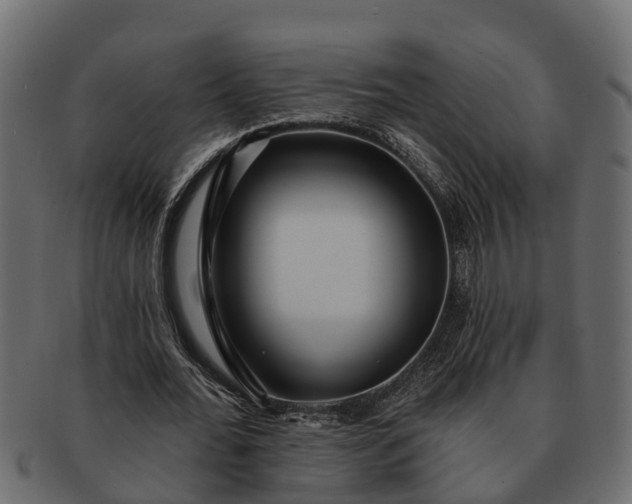 X0000091720676200709071436