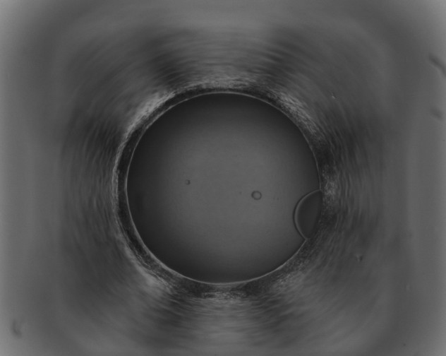 X0000091720678200709071436