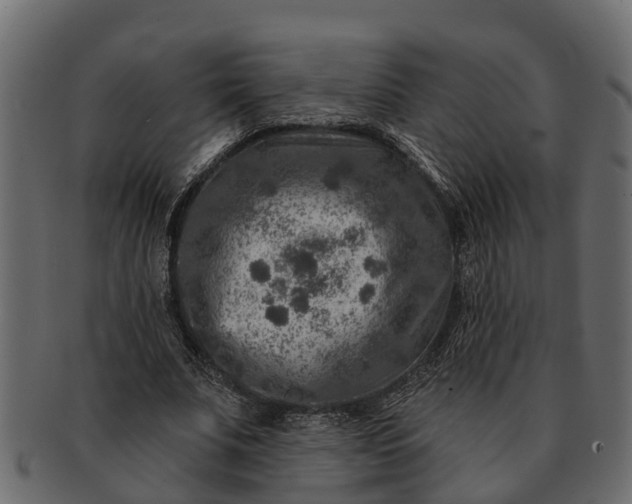 X0000091720679200709071436